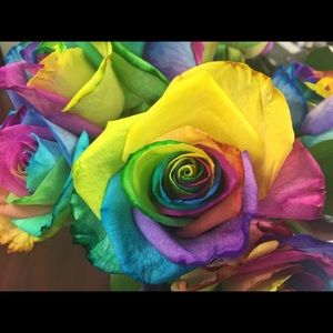 Meet your Posher, Sandi