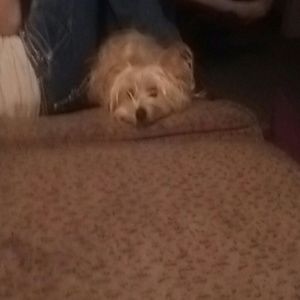 Meet your Posher, Shelly