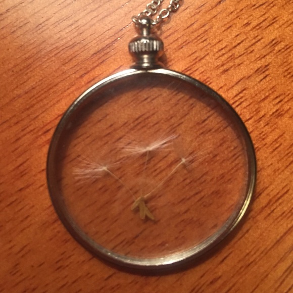 Silver dandelion seed necklace