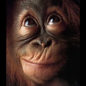 Meet your Posher, Meg