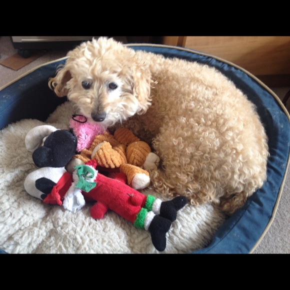 Meet your Posher, Linda - Picture 1 of 1