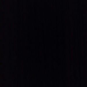 Meet your Posher, Cheyenne