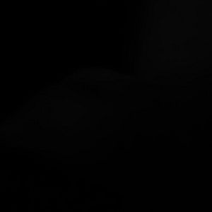 Meet your Posher, Delia