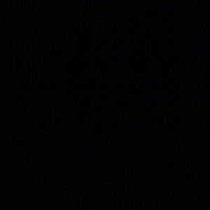 Meet your Posher, Kaleb