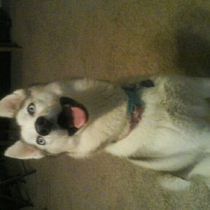 Meet your Posher, Maureen