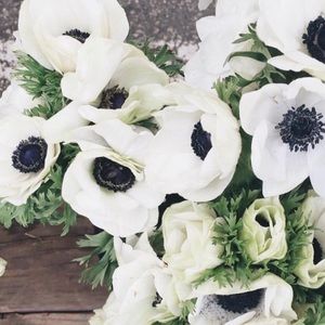 Meet your Posher, Glen