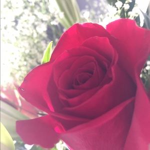 Meet your Posher, Brin