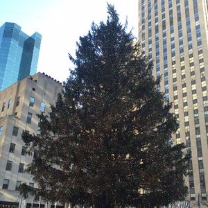 Meet your Posher, Elsa