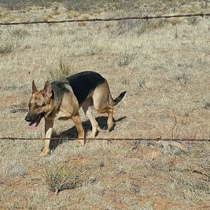 Meet your Posher, Bianca