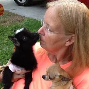 Meet your Posher, Nanette