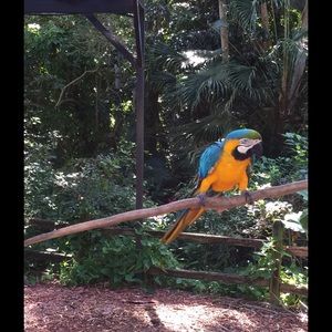 Meet your Posher, Kathleen