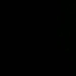 Meet your Posher, Allie