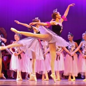 Meet your Posher, Sydney