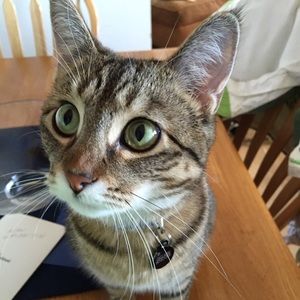 Meet your Posher, Olivia