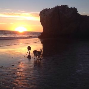 Meet your Posher, Margurite