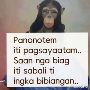 Meet your Posher, Johnna