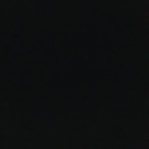 Meet your Posher, Rose