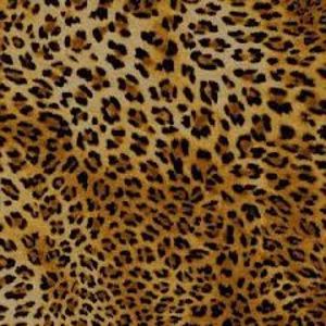 Meet your Posher, Leshayne