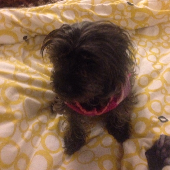 Meet your Posher, Amy