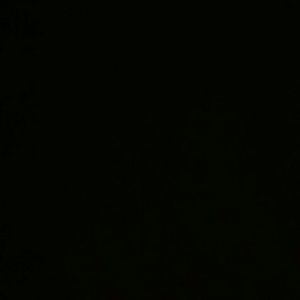 Meet your Posher, Irene