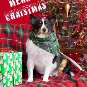 Meet your Posher, Christie