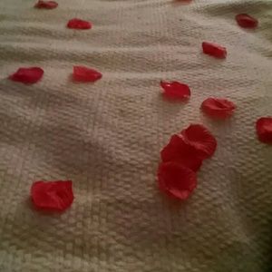 Meet your Posher, Tosha