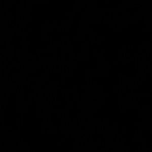 Meet your Posher, Ally