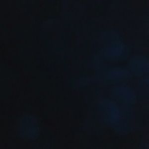 Meet your Posher, Kari