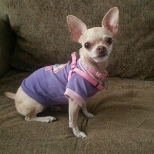 Meet your Posher, Amy