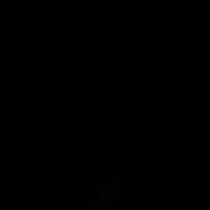 Meet your Posher, Mia