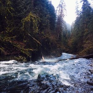 Meet your Posher, Kalae