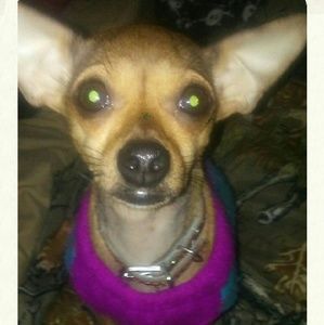 Meet your Posher, Heather