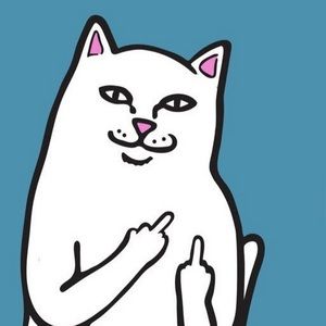 Meet your Posher, Dennis