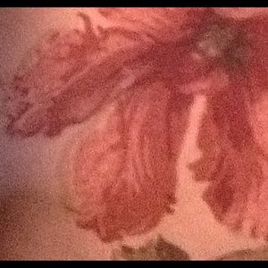 Meet your Posher, Desmond