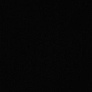 Meet your Posher, Iris