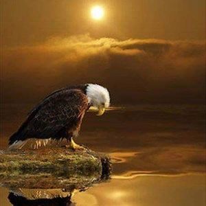 Meet your Posher, Silvia