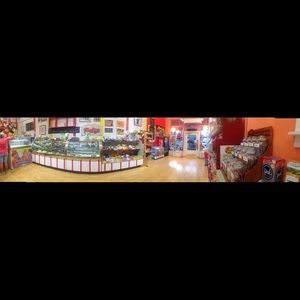 Meet your Posher, Jodie