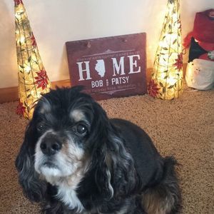 Meet your Posher, Patsy