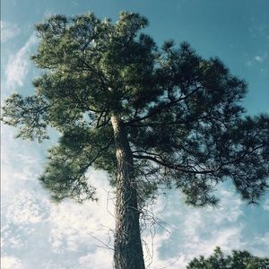 Meet your Posher, Bryn