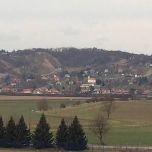 Meet your Posher, Dee