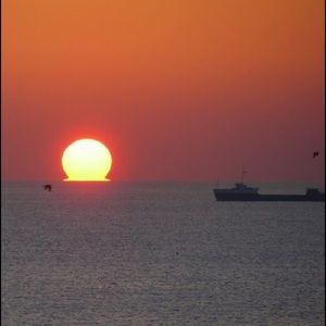 Meet your Posher, Priti