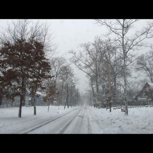 Meet your Posher, Jane