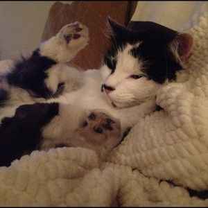 Meet your Posher, Nanette