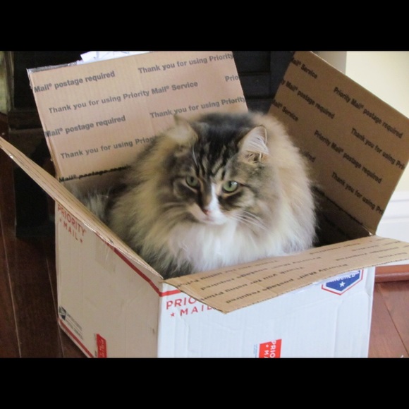 FAST SHIPPING - Picture 1 of 1