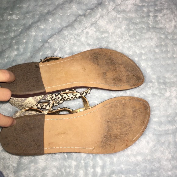 Sam Edelman Snake Skin Studded Gladiators - Picture 3 of 4