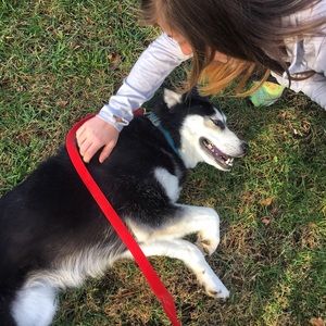 Meet your Posher, Sam