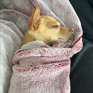 Meet your Posher, Courtney