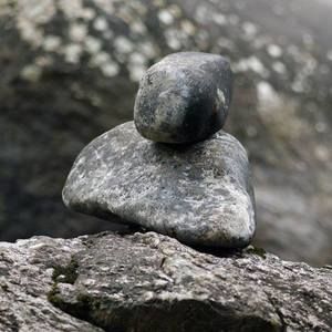 Meet your Posher, Judy