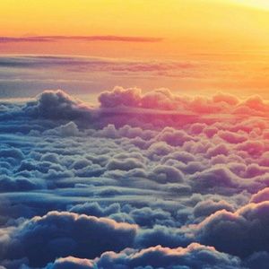 Meet your Posher, Binta