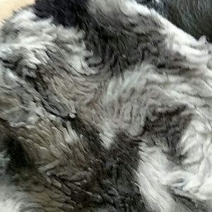 Meet your Posher, Catherine